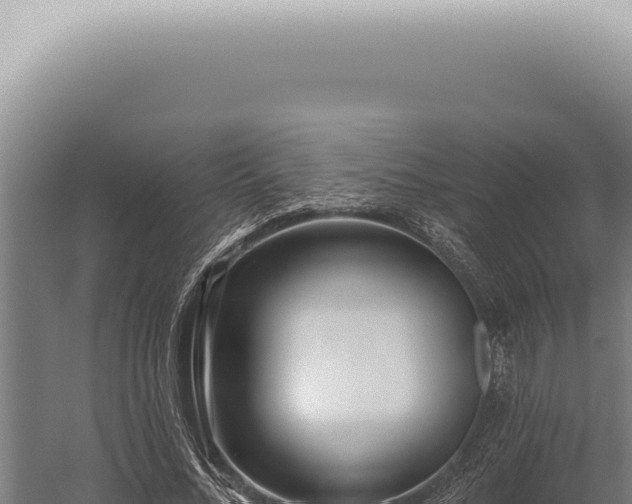 X0000059820684200510281732