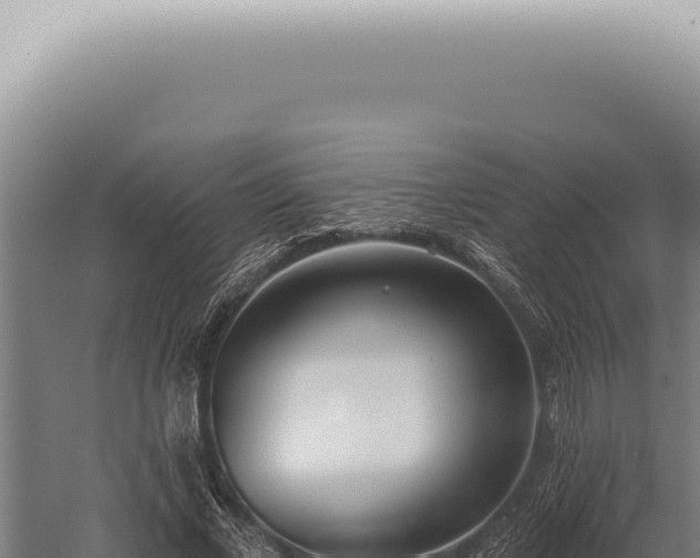 X0000059820685200510281732