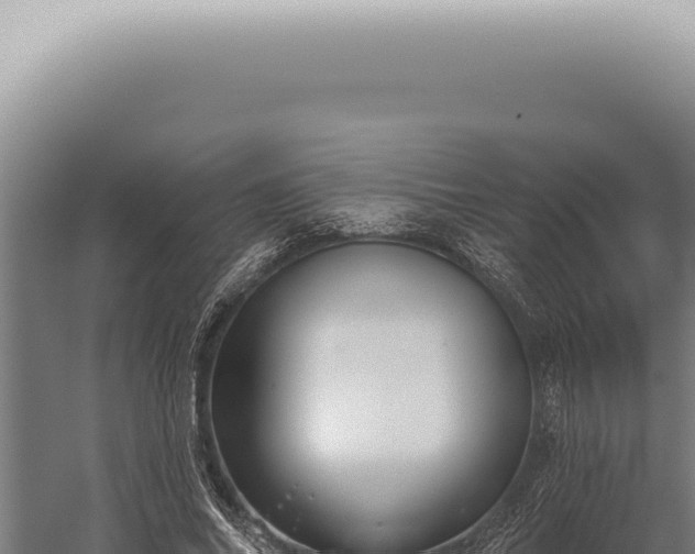 X0000059820686200510281732