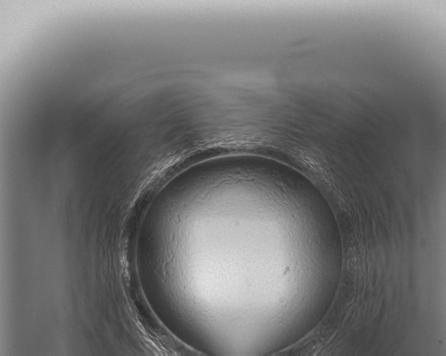 X0000059820688200510281732