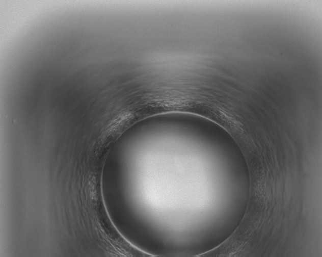 X0000059820689200510281732