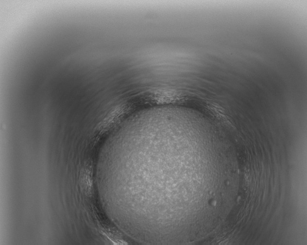 X0000059820691200510281732