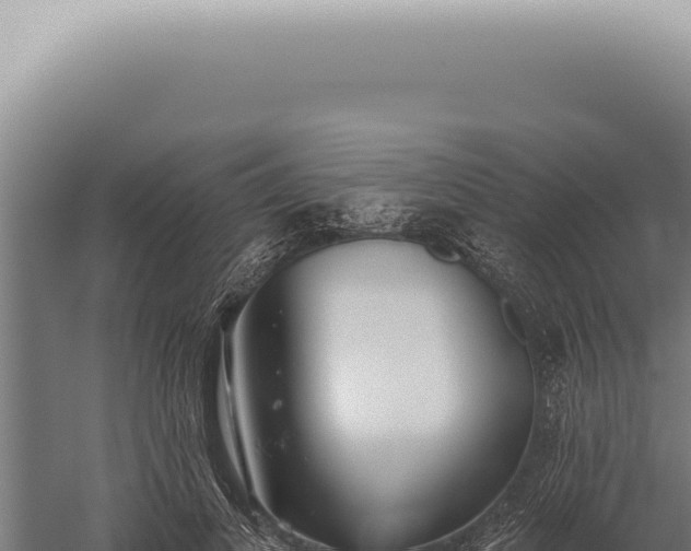 X0000059820693200510281732