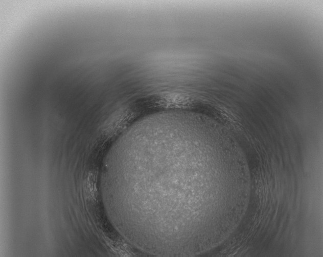 X0000059820695200510281732