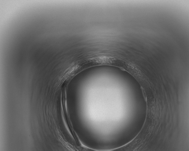 X0000059820696200510281732