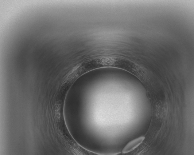 X0000059820697200510281732