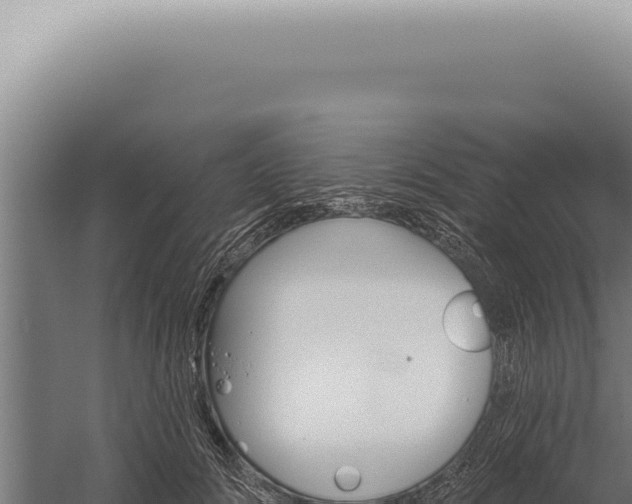 X0000059820702200510281732