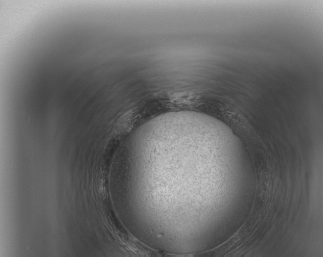 X0000059820706200510281732