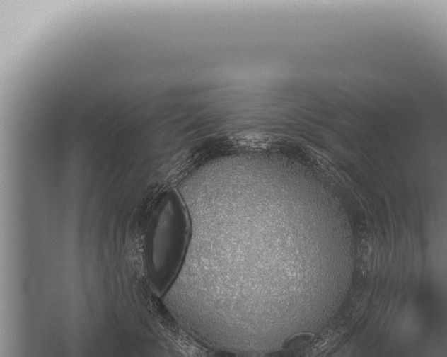 X0000059820707200510281732