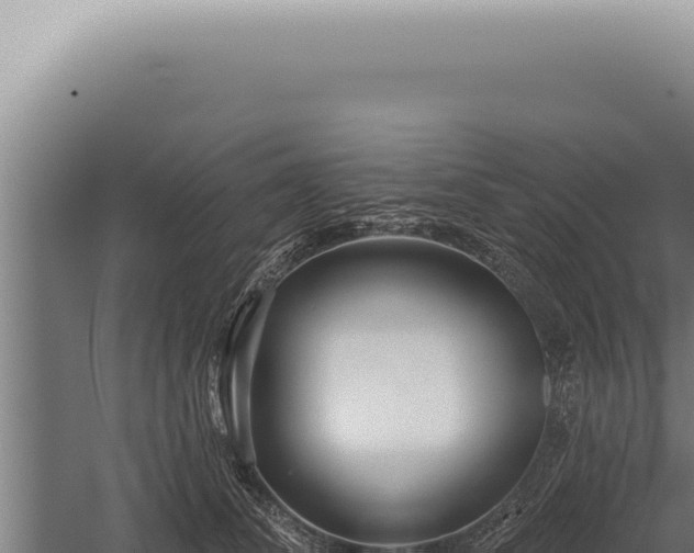 X0000059820708200510281732