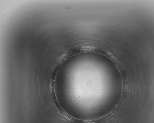 X0000059820716200510281731