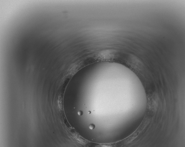 X0000059820718200510281731