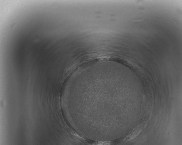 X0000059820720200510281731