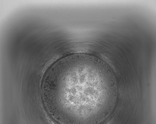 X0000059820721200510281731