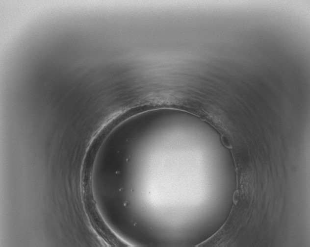 X0000059820722200510281731