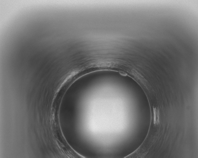 X0000059820723200510281731