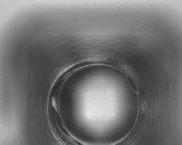 X0000059820724200510281731