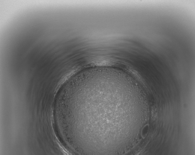 X0000059820725200510281731