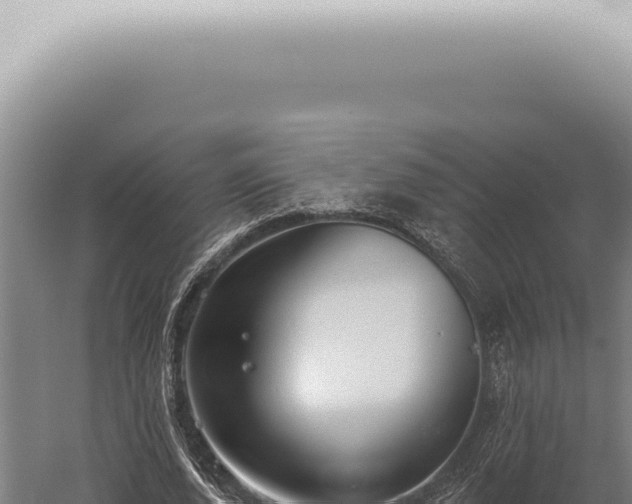 X0000059820728200510281731