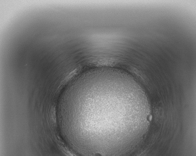 X0000059820729200510281731