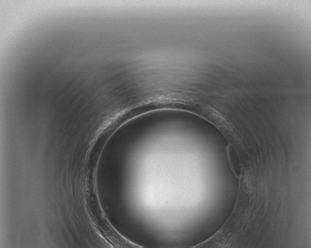 X0000059820732200510281731