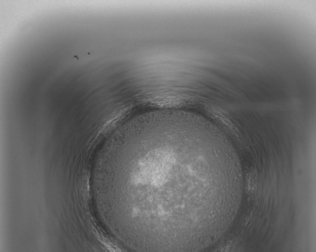 X0000059820733200510281731