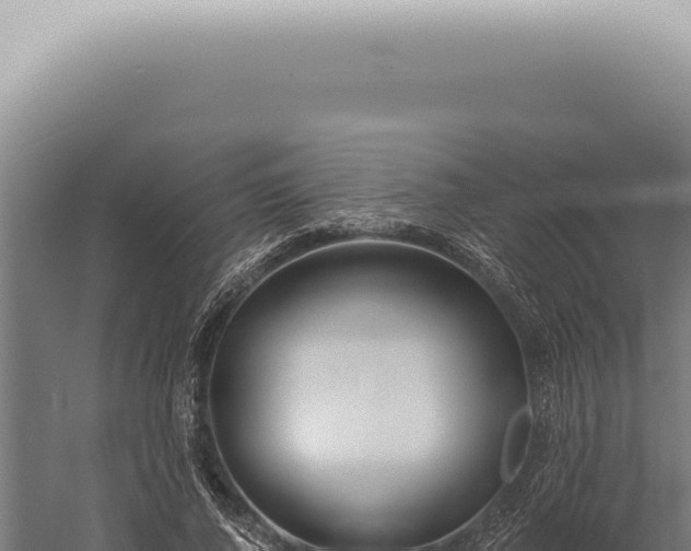 X0000059820736200510281731