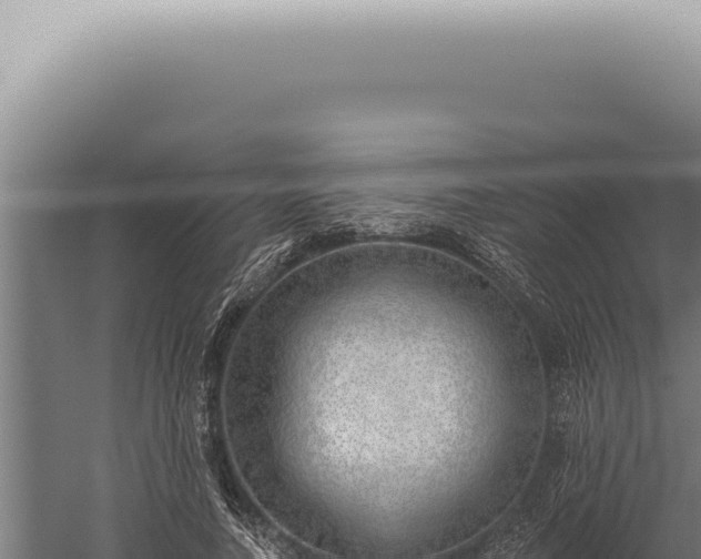 X0000059820738200510281731