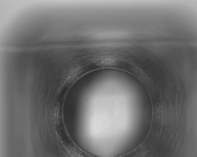 X0000059820739200510281731