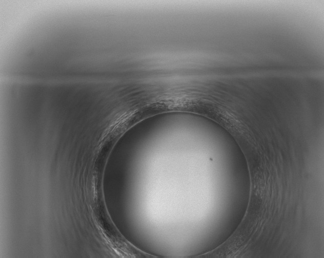 X0000059820740200510281731