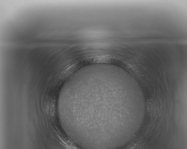 X0000059820741200510281731