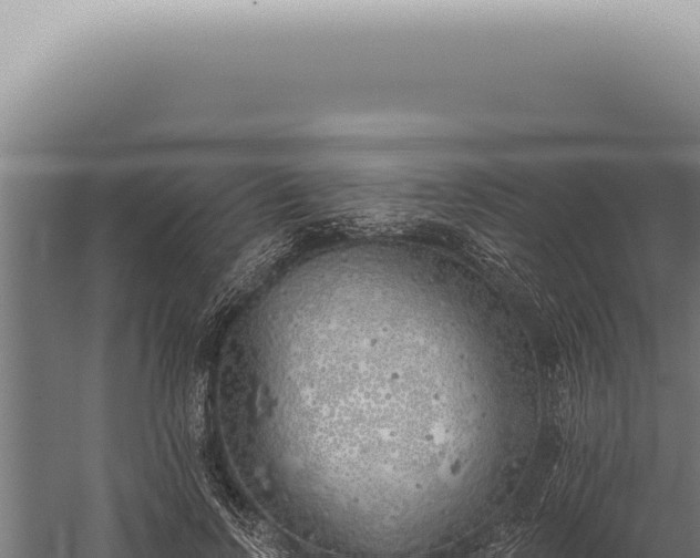 X0000059820742200510281731