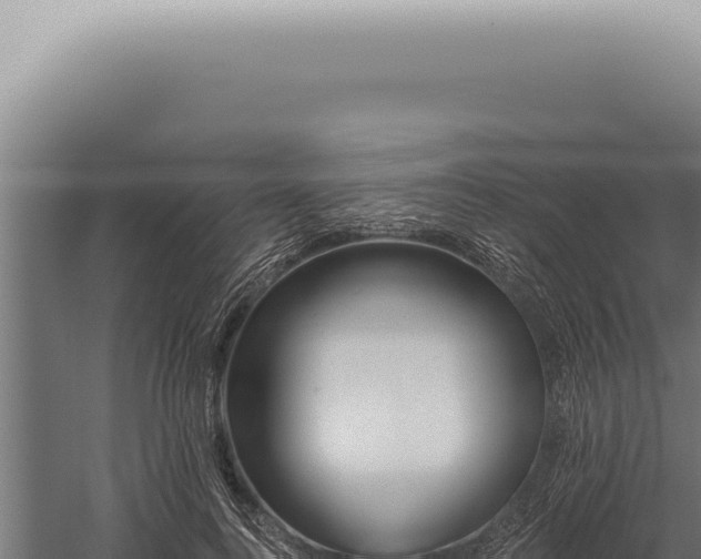 X0000059820744200510281731