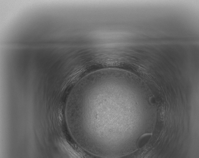 X0000059820746200510281731