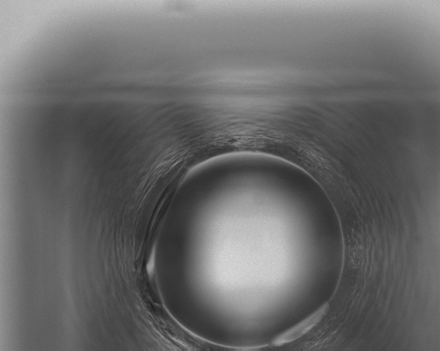 X0000059820748200510281731