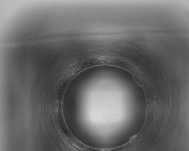 X0000059820752200510281731