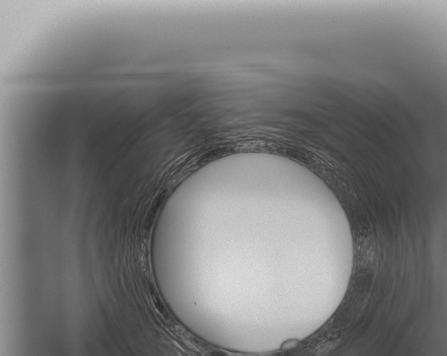 X0000059820753200510281731