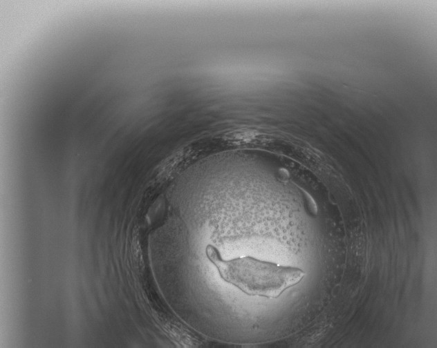 X0000059820754200510281731