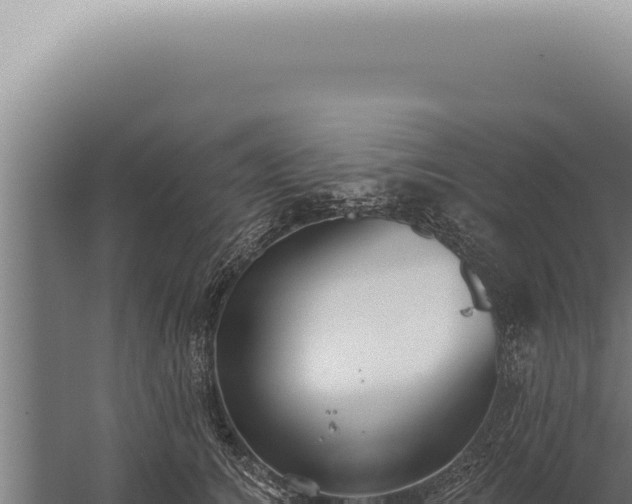 X0000059820756200510281731