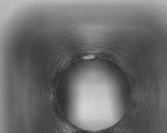 X0000059820758200510281731