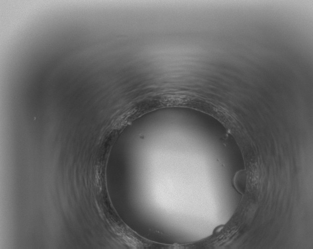 X0000059820759200510281731