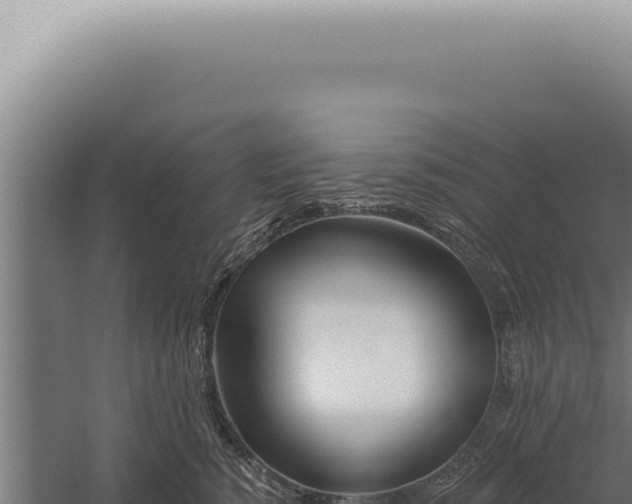 X0000059820760200510281731