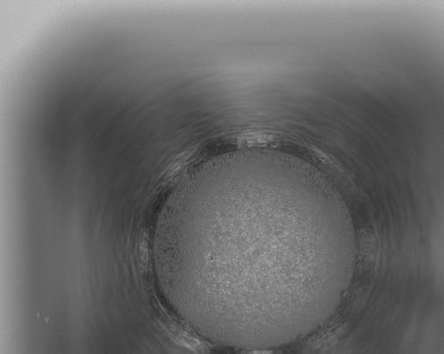 X0000059820761200510281731