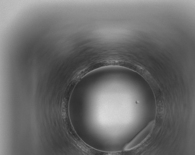 X0000059820762200510281731