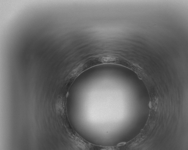 X0000059820763200510281731