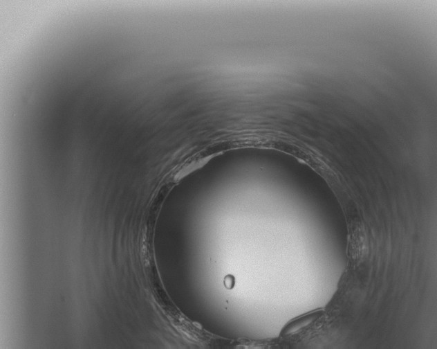 X0000059820764200510281731