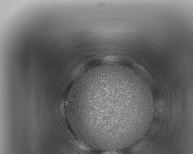 X0000059820765200510281731