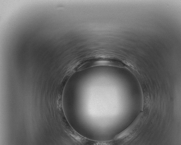 X0000059820766200510281731