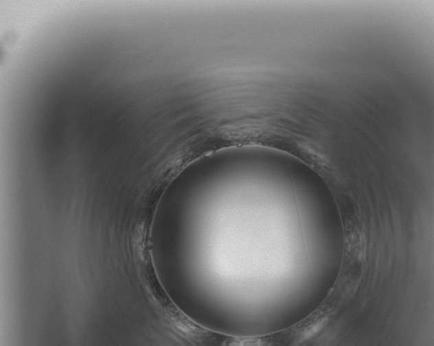 X0000059820767200510281731