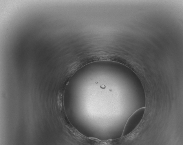 X0000059820768200510281731